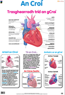 An Croí / The Heart - Póstaer