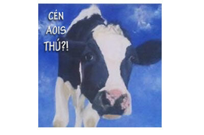 Cén Aois Thú?! / What Age are you? - Greeting Cards