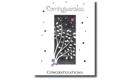 Comhghairdeas /  Congratulations