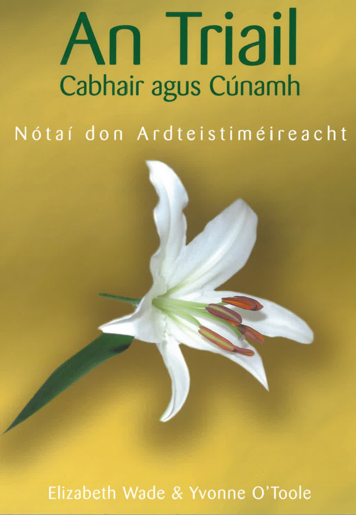 An Triail – Cabhair agus Cúnamh – Nótaí don ardteistiméireacht