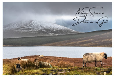 Fiachra Mangan Photography - Christmas Card "Nollaig Shona ó Dhún na nGall" Landscape & Sheep