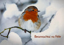 Cartaí Nollag - Beannachtaí na Féile - Robin