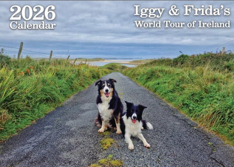 Féilire 2026 - Iggy & Frida's World Tour of Ireland