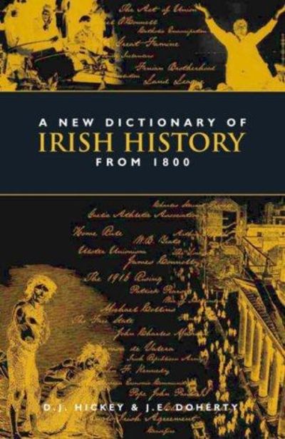 A NEW DICTIONARY OF IRISH HISTORY FROM 1800 - D.J. HICKEY & J.E DOHERTY