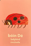 Luaschártaí – Flashcard Game: An Timpeallacht