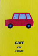 Luaschártaí – Flashcard Game: Sa Bhaile