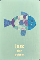 Luaschártaí – Flashcard Game: An Timpeallacht