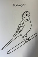 Dathaigh Ainmhithe  - Feargas Mac Lochlainn