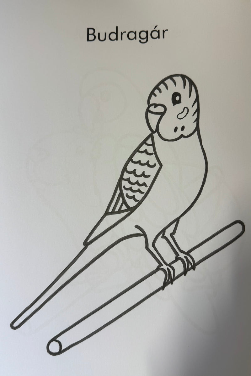 Dathaigh Ainmhithe  - Feargas Mac Lochlainn