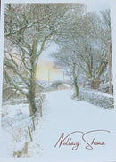 Fiachra Mangan Photography - Christmas Cards "Nollaig Shona ó Dhún na nGall" Pack of 4