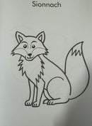 Dathaigh Ainmhithe  - Feargas Mac Lochlainn