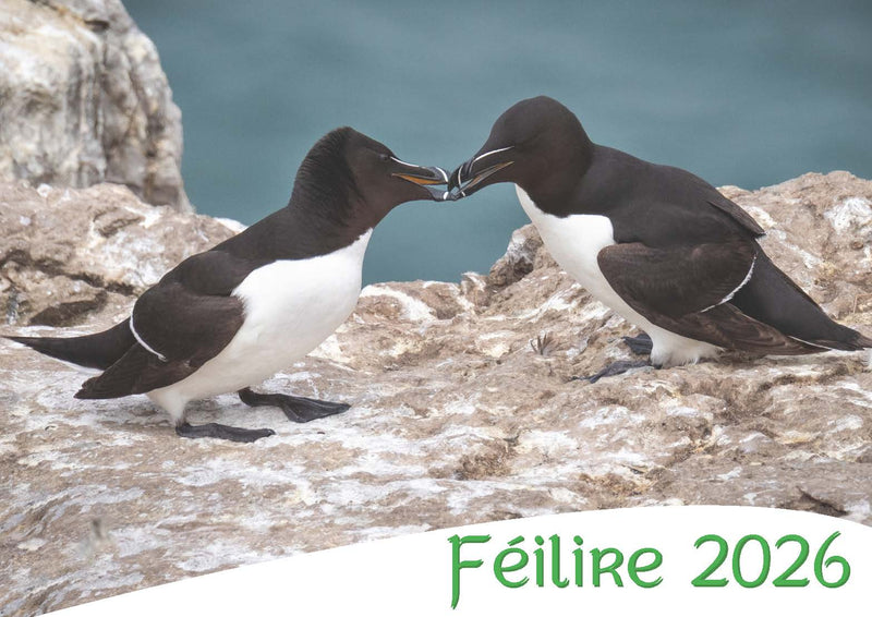 Féilire 2026