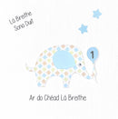 Lá Breithe Sona Duit - Eilifint Gorm - First Birthday