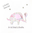 Lá Breithe Sona Duit- Eilifint Bándearg - First Birthday