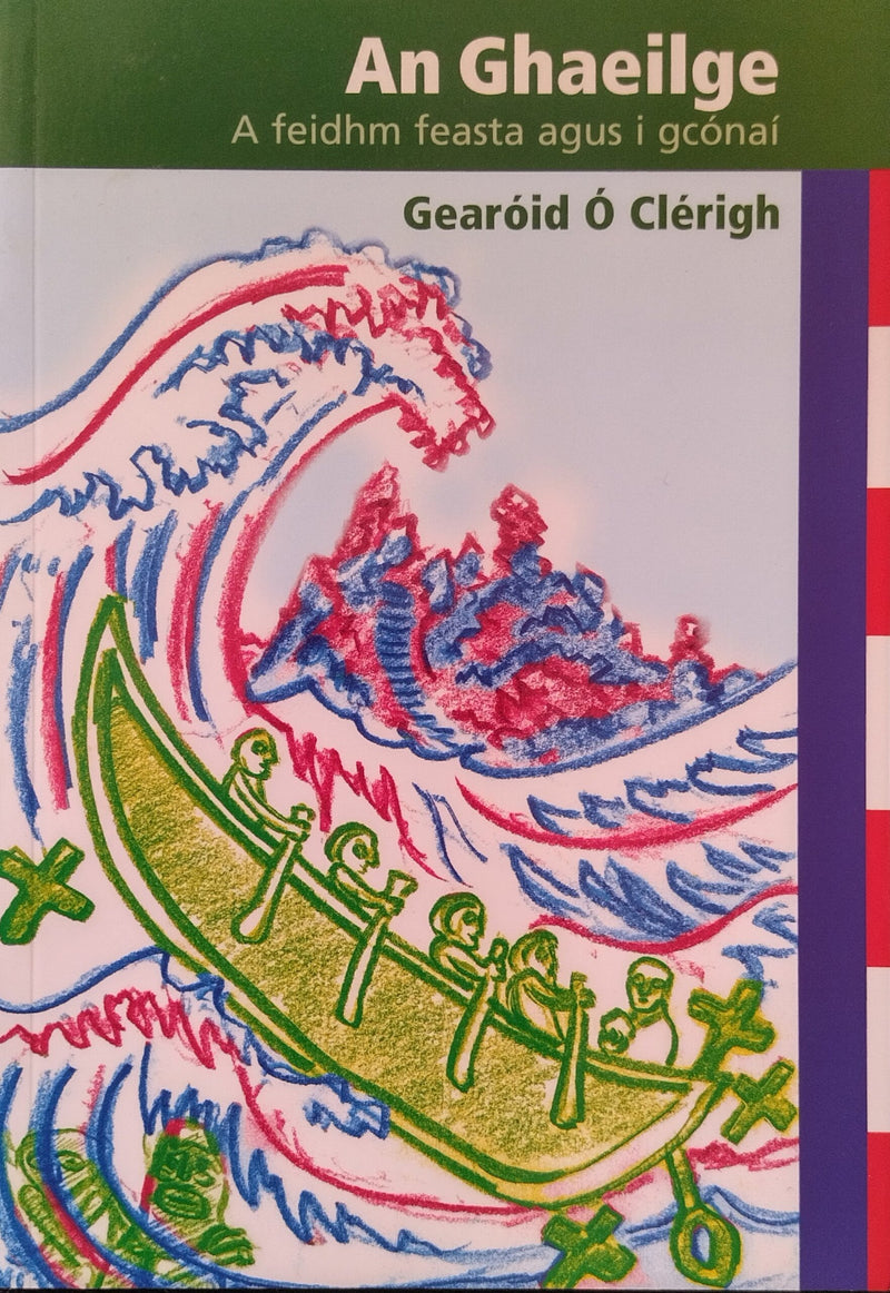 An Ghaeilge: A Feidhm Feasta agus i gCónaí - Gearóid Ó Cléirigh
