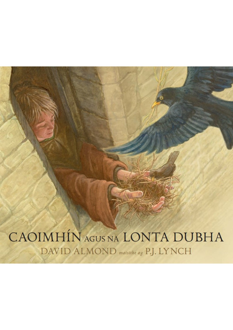 Caoimhín agus na Lonta Dubha
