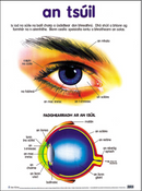 An tSúil / The Eye - Póstaer