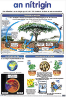 An Nítrigin / Nitrogen - Póstaer