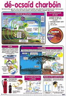 Dé-ocsaíd charbóin / Carbon Dioxide - Póstaer