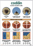 Codáin / Fractions - Póstaer