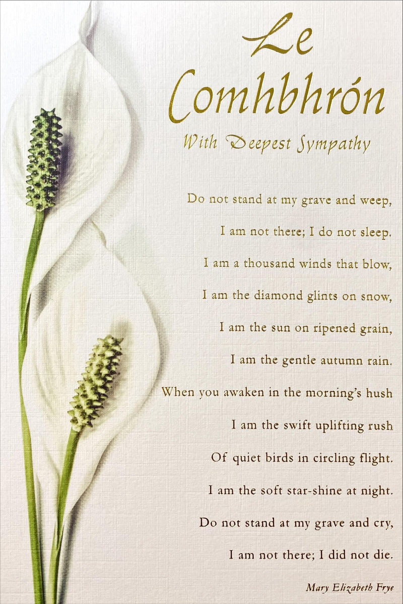 Le Comhbhrón - Lily and Verse