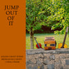 Jump out of it - Aisling Drost Byrne , Brendan Mc Carthy , Conal O'Kane