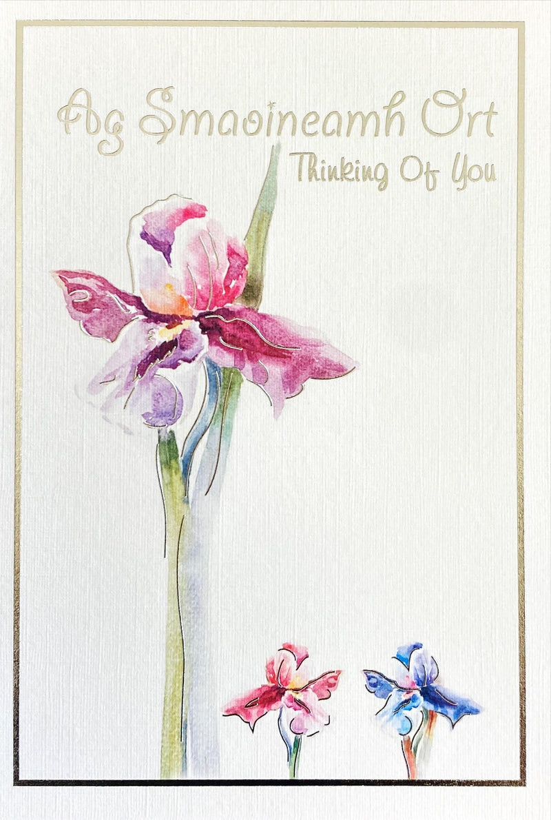 Ag Smaoineamh Ort / Thinking of you - Iris