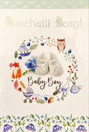 Buachaill Beag!  Baby Boy! Booties