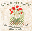 Go mbíodh biseach ort gan mhoill / Get Well Soon  - Poppies