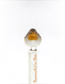 Cártaí Nollag - Spideog/Robin