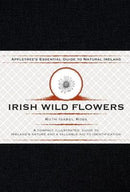 Irish Wild Flowers - Ruth Isabel Ross