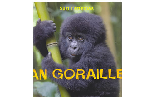 An Goraille le Suzi Eszterhas