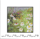 Cárta Nóta / Notelets - Daisies