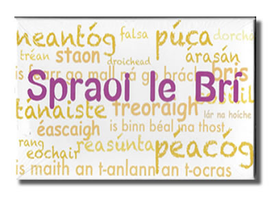 Spraoi le Brí