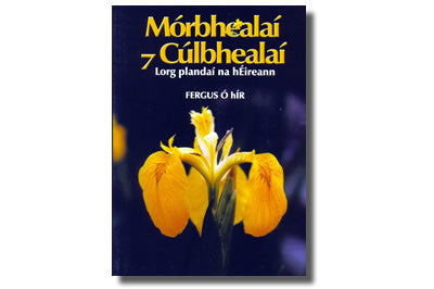 Mórbhealaí agus Cúlbhealaí - Fergus Ó hÍr