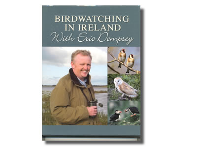 Birdwatching in Ireland  with Eric Dempsey