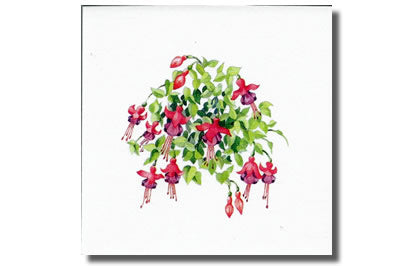 Fuchsia Notelet