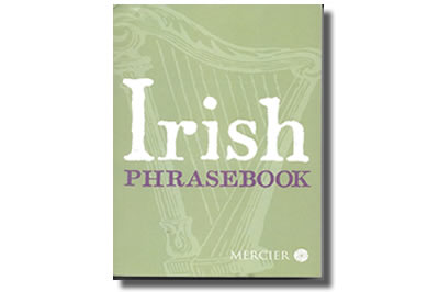 Irish Phrasebook  - Niall Callan