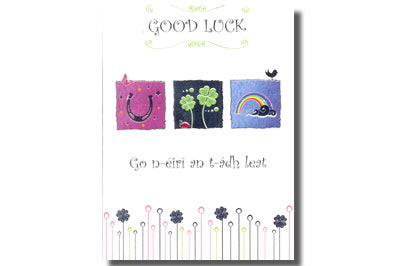 Go n-éirí an t-ádh leat! / Good Luck!