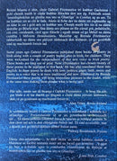 Gan Focal Frugal Speech - Gabriel Fitzmaurice