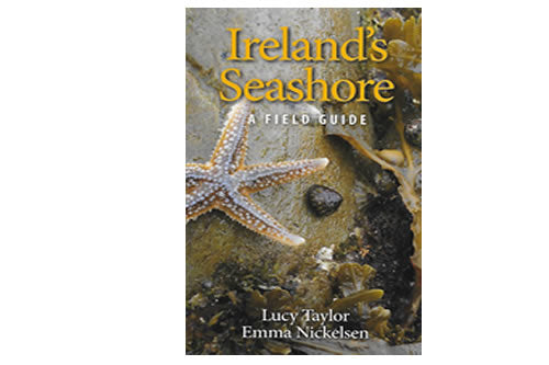 Ireland’s Seashore – Lucy Taylor & Emma Nickelsen 