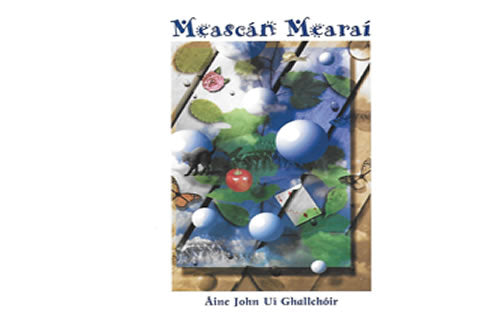 Meascán Mearaí – Áine John Uí Ghallchóir