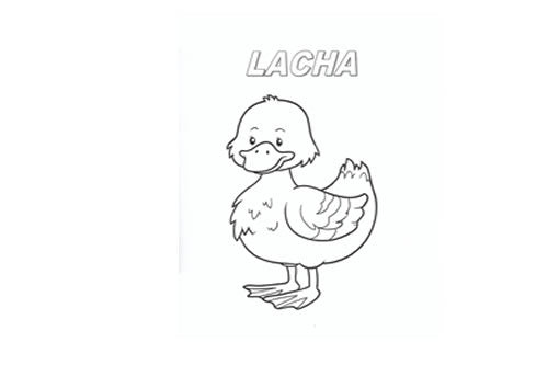 Dathaigh Isteach – Ainmhithe le Orla Shorten