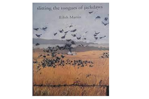 Slitting the Tongues of Jackdaws – Eilish Martin