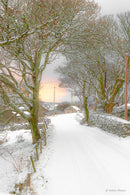 Fiachra Mangan Photography - A Snowy Kilgoly