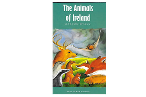 The Animals of Ireland – Gordon D’Arcy