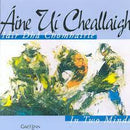 Idir Dhá Chomhairle - Áine Uí Cheallaigh