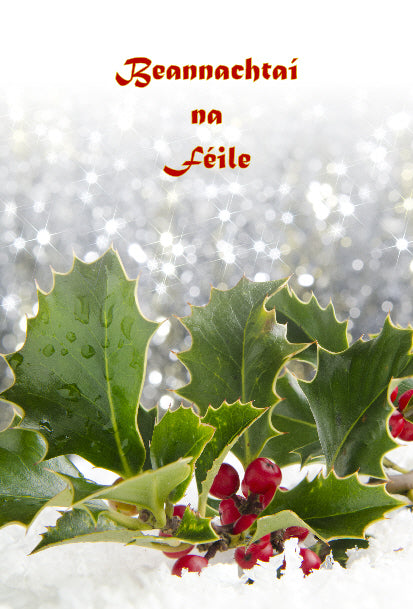 Cartaí Nollag / Christmas Cards Pack - Beannachtaí an Féile