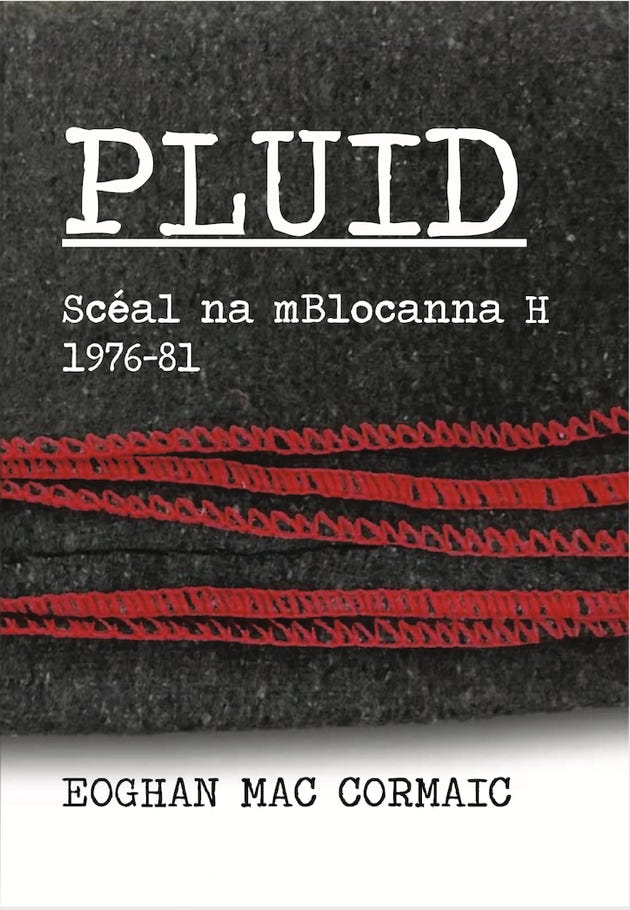 Pluid - Scéal na mBlocanna H 1976-81 - Eoghan Mac Cormaic