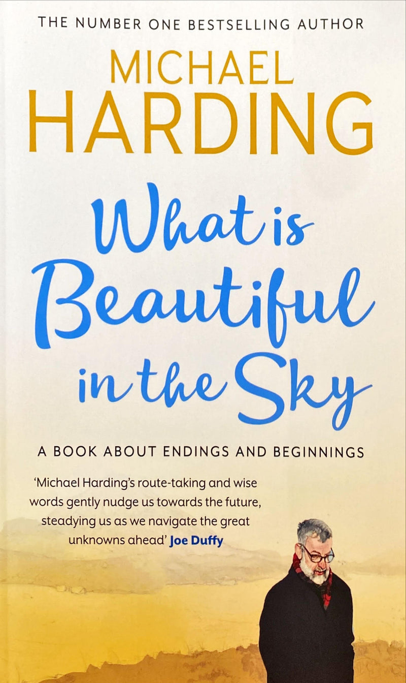 What is Beautiful in the Sky - Michael Harding